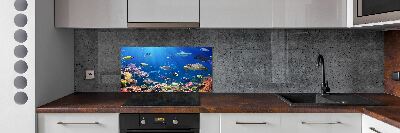 Kitchen wall panels Coral reef