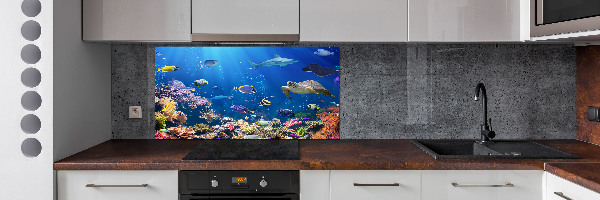 Kitchen wall panels Coral reef