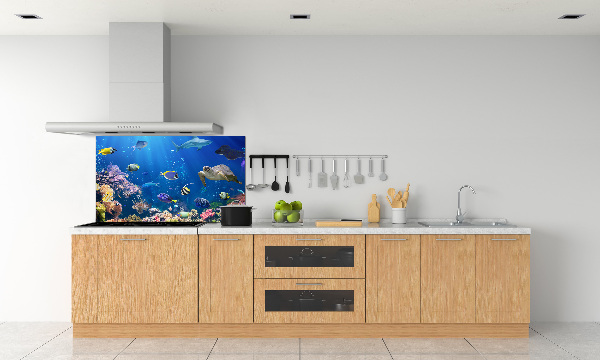 Kitchen wall panels Coral reef