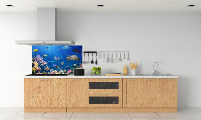 Kitchen wall panels Coral reef