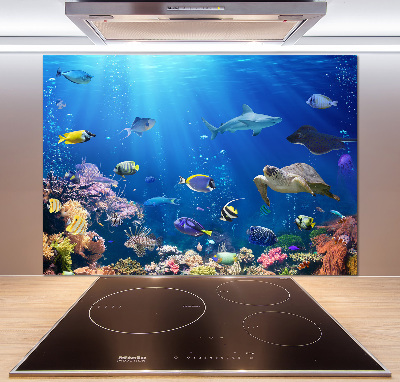 Kitchen wall panels Coral reef