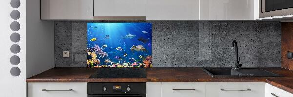 Kitchen wall panels Coral reef