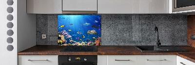 Kitchen wall panels Coral reef