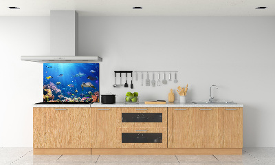 Kitchen wall panels Coral reef