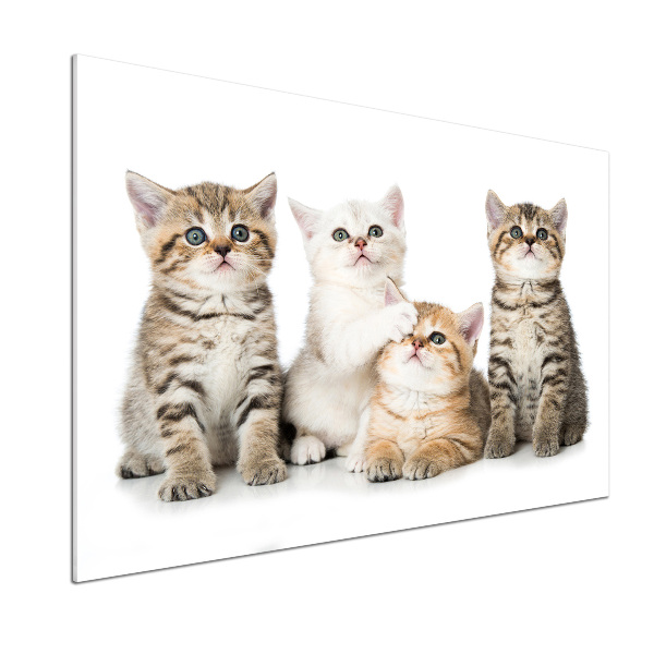 Kitchen wall panels Little cats