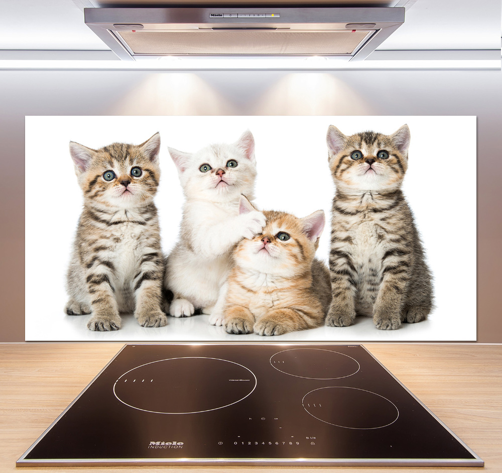 Kitchen wall panels Little cats