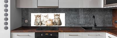 Kitchen wall panels Little cats