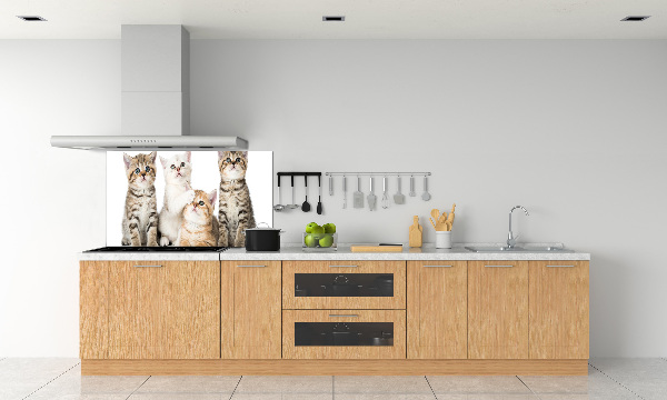 Kitchen wall panels Little cats