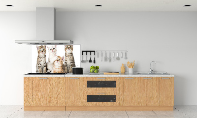 Kitchen wall panels Little cats