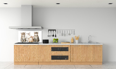 Kitchen wall panels Little cats