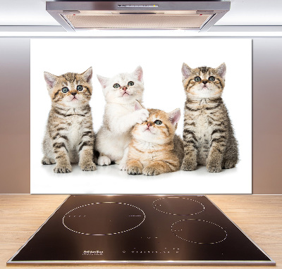 Kitchen wall panels Little cats