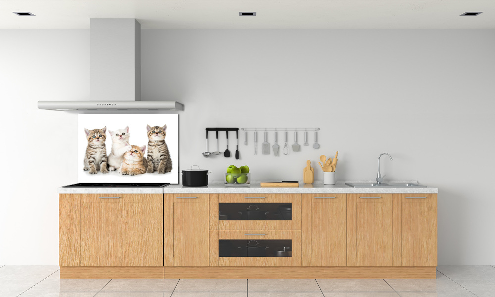 Kitchen wall panels Little cats