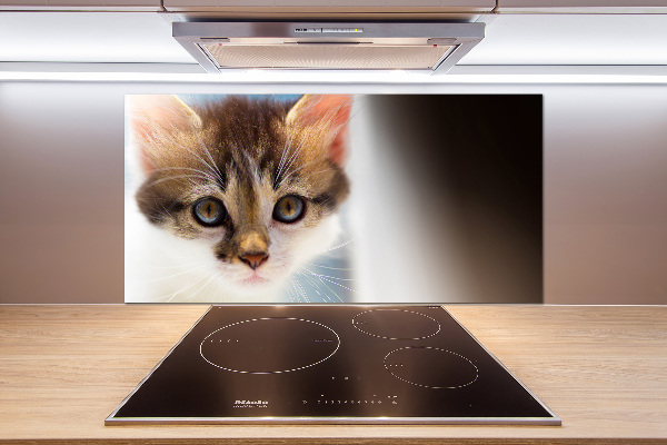 Splashback panel for kitchen Small cat