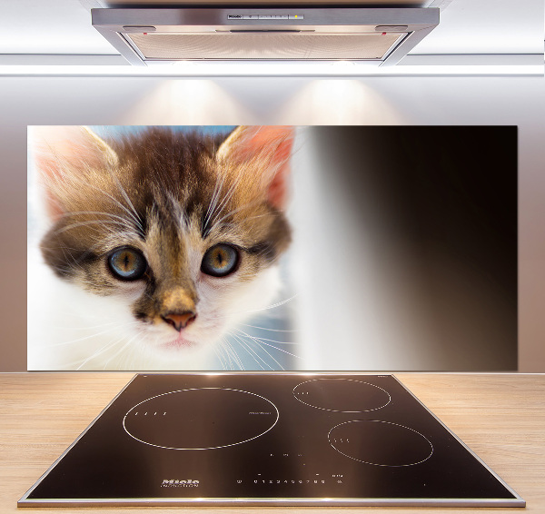 Splashback panel for kitchen Small cat