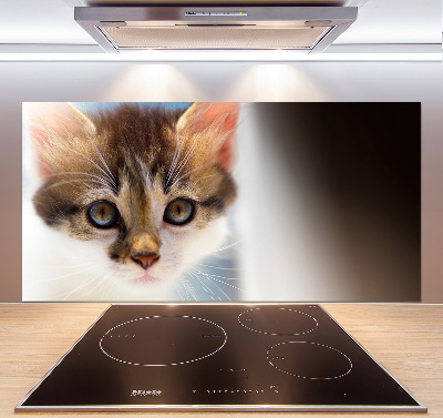 Splashback panel for kitchen Small cat