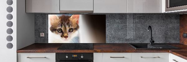 Splashback panel for kitchen Small cat