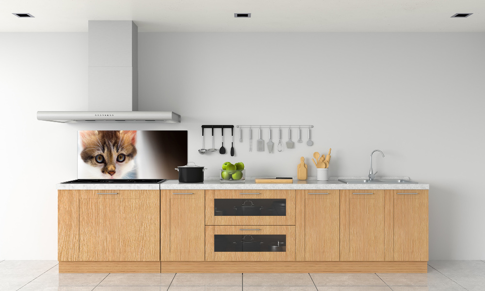 Splashback panel for kitchen Small cat