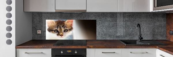 Splashback panel for kitchen Small cat