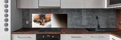 Splashback panel for kitchen Small cat