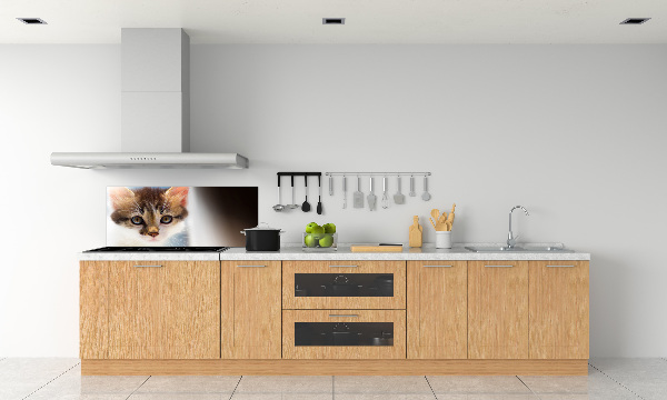 Splashback panel for kitchen Small cat