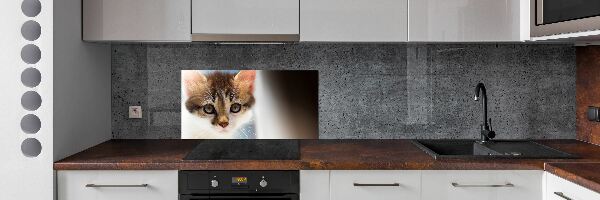 Splashback panel for kitchen Small cat