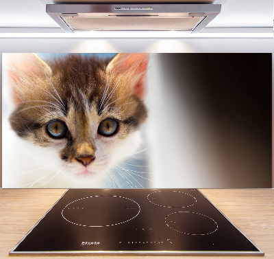 Splashback panel for kitchen Small cat