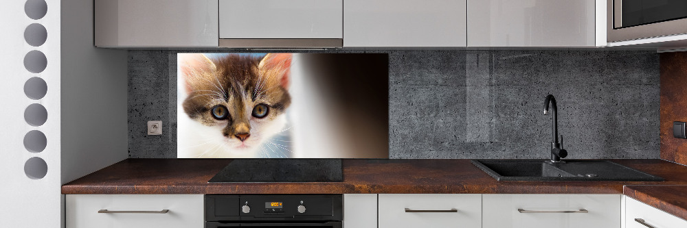 Splashback panel for kitchen Small cat