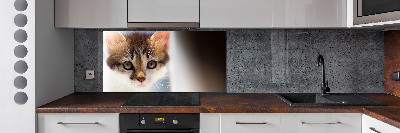 Splashback panel for kitchen Small cat