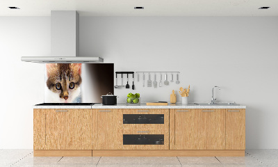 Splashback panel for kitchen Small cat