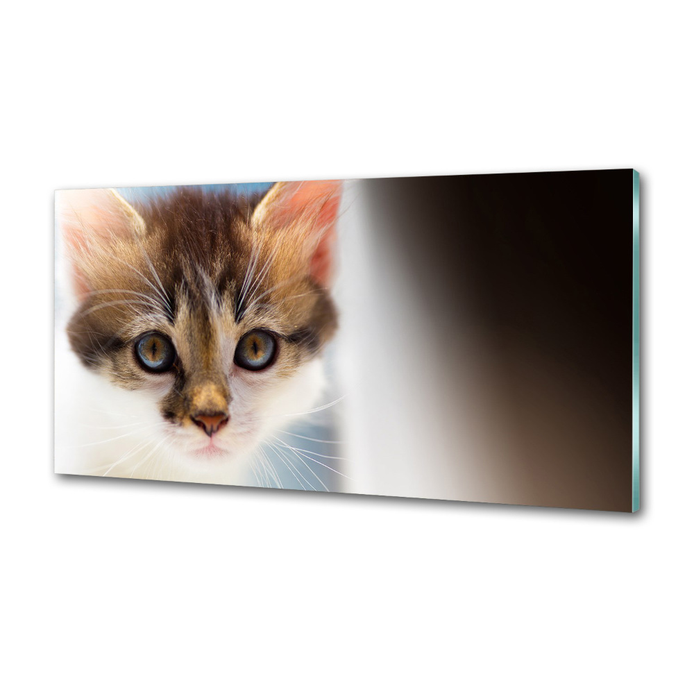 Splashback panel for kitchen Small cat