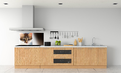 Splashback panel for kitchen Small cat