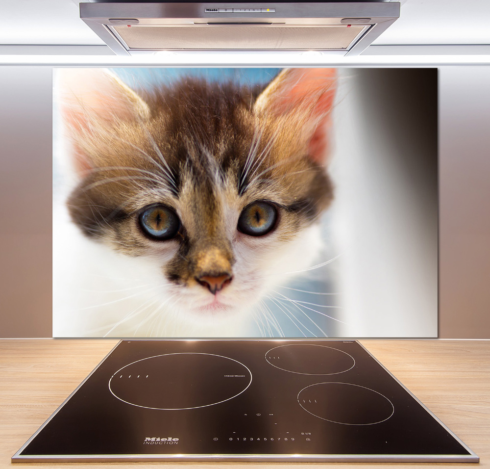 Splashback panel for kitchen Small cat