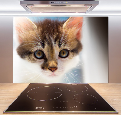 Splashback panel for kitchen Small cat