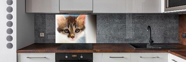 Splashback panel for kitchen Small cat