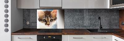 Splashback panel for kitchen Small cat