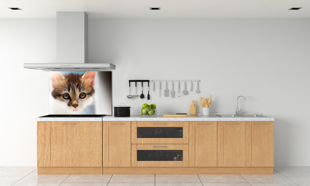 Splashback panel for kitchen Small cat