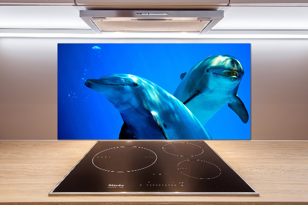 Cooker splashback Two dolphins