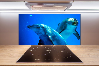 Cooker splashback Two dolphins