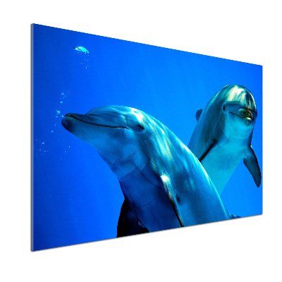 Cooker splashback Two dolphins