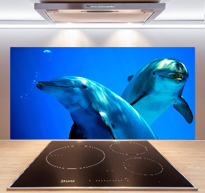 Cooker splashback Two dolphins