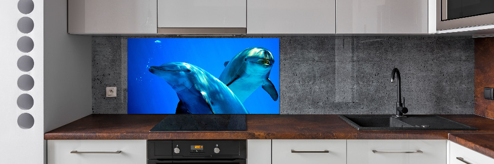 Cooker splashback Two dolphins