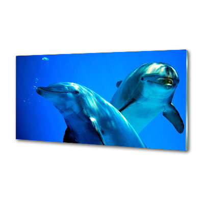 Cooker splashback Two dolphins