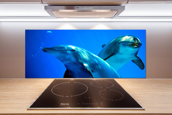 Cooker splashback Two dolphins