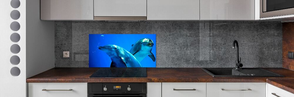 Cooker splashback Two dolphins