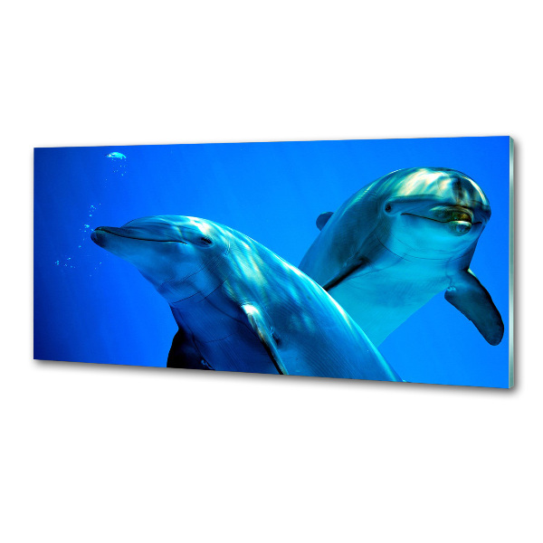 Cooker splashback Two dolphins