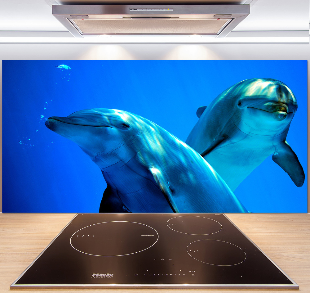 Cooker splashback Two dolphins