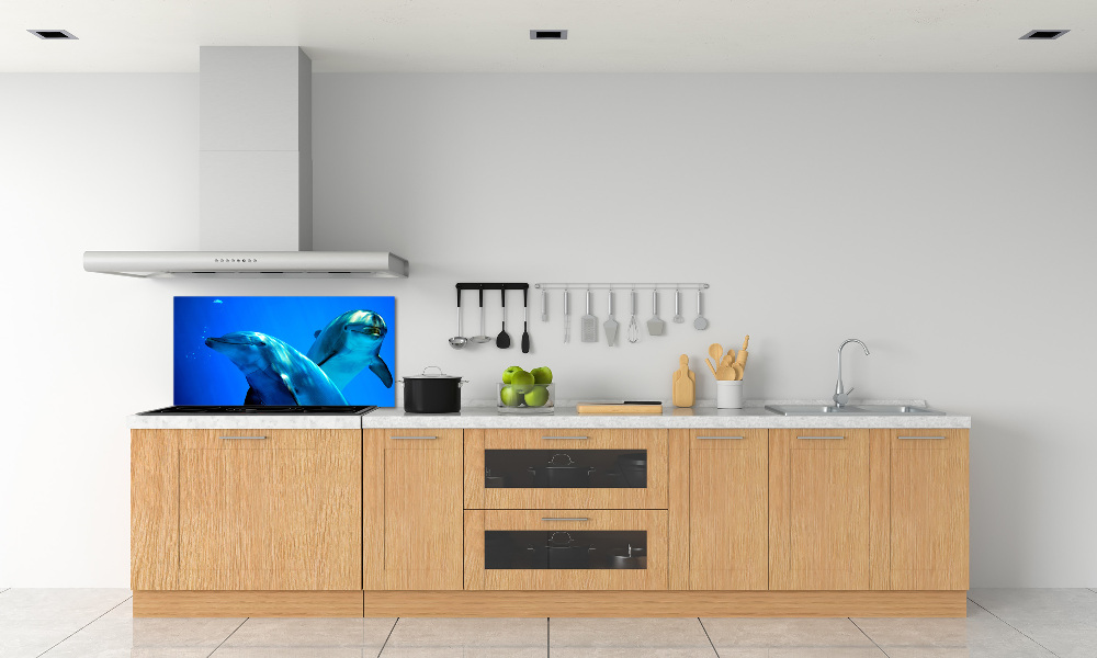 Cooker splashback Two dolphins