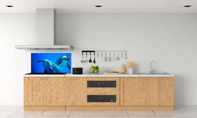 Cooker splashback Two dolphins