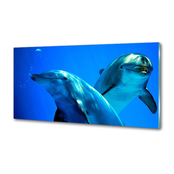 Cooker splashback Two dolphins