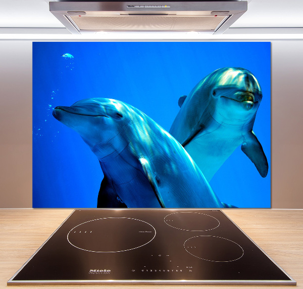 Cooker splashback Two dolphins